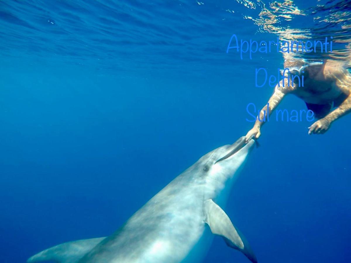 Appartamento Delfino Azzurro ゴルフォ・アランチ エクステリア 写真
